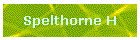 Spelthorne H