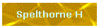 Spelthorne H