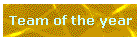 Team of the year