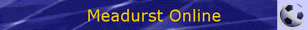 Meadurst Online